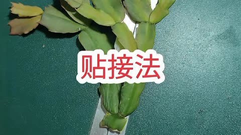 贴接法